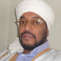صورة الشاعر